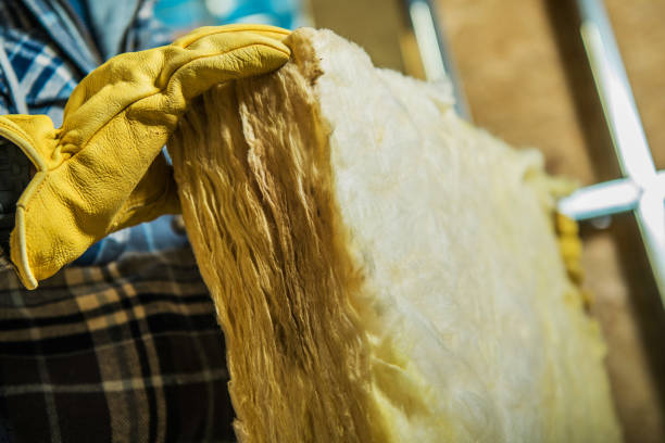 Best Insulation Contractors for Homes  in Plainville, KS