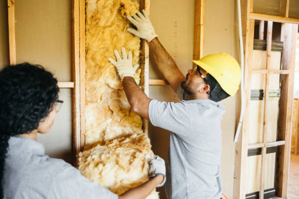 Best Professional Insulation Contractor  in Plainville, KS