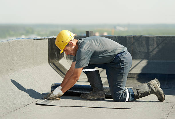 Best Insulation Inspection Services  in Plainville, KS